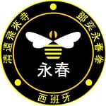 kung fu lisboa reconhecimento 2